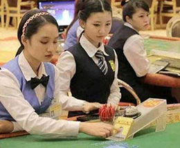 产品分类四